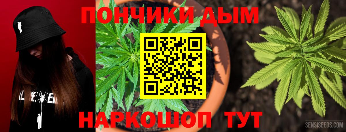 Каннабис ГИДРОПОН  Каннабис Bruce Banner  Бошки Шишки LSD WEED  Воронеж  Каннабис THC 21%  Вход с VPN 